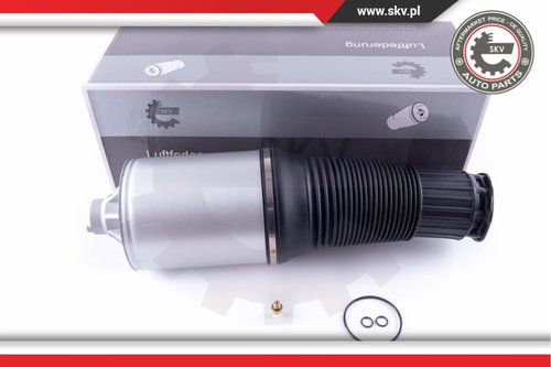 Arc pneumatic ; fata ; AUDI A8 D3 (4E2, 4E8) ; 4E0616040AF