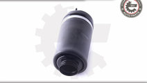 Arc pneumatic ; fata ; MERCEDES-BENZ GL (X164) M-C...