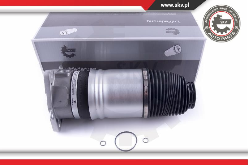 Arc pneumatic ; spate dreapta ; AUDI A8 D3 (4E2, 4E8) ; 4E0616002N