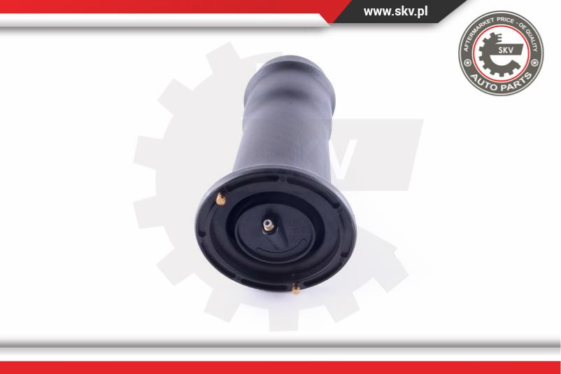 Arc pneumatic ; spate ; LAND ROVER Discovery II (L318) ; RKB101200
