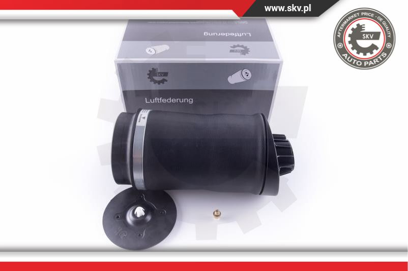 Arc pneumatic ; spate ; MERCEDES-BENZ R-Class (W251, V251) ; 2513200425