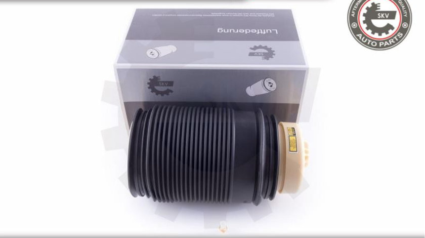 Arc pneumatic ; spate stanga ; MERCEDES-BENZ CLS (C218, X218) E-Class (W212, S212) ; 2123200725