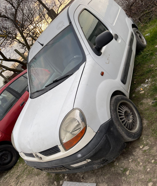 Arc spate dreapta Ansamblu arc plus amortizor Renault Kangoo 2 [2007 - 2013] Van