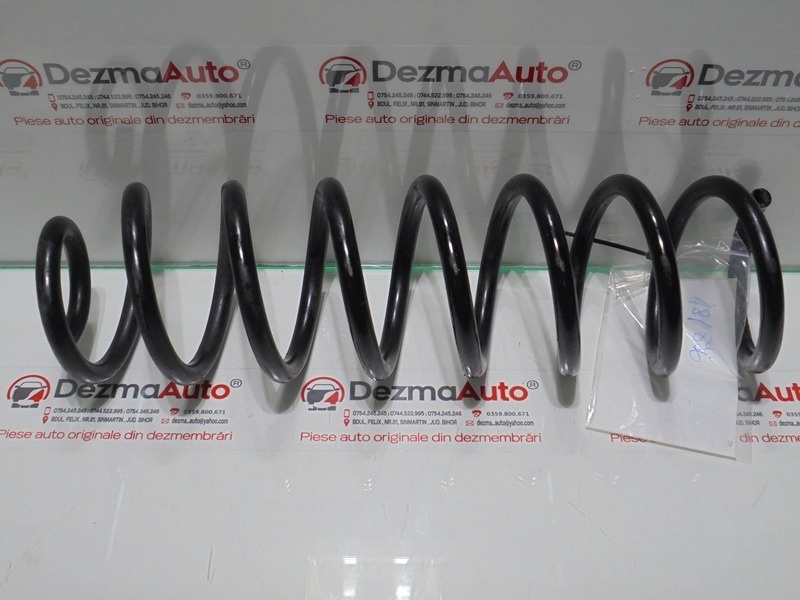 Arc spate, Renault Megane 2, 1.5 dci (id:241270)