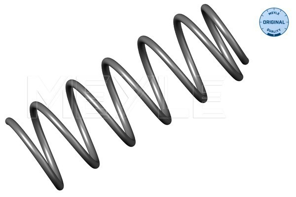 Arc spiral punte fata (1000410002 MEYLE) VW