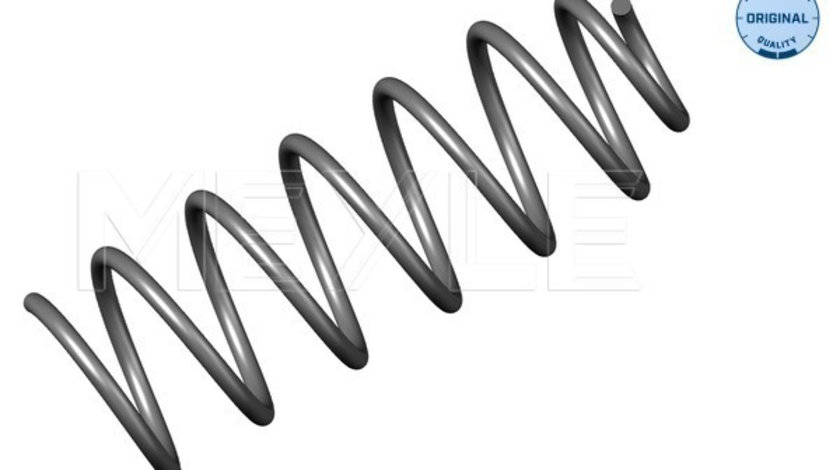 Arc spiral punte fata (1000410007 MEYLE) VW