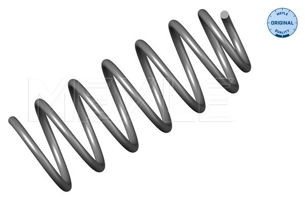Arc spiral punte fata (1006390009 MEYLE) VW