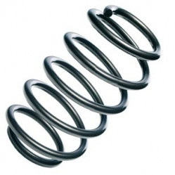Arc spiral punte fata (12108689 MTR) VW