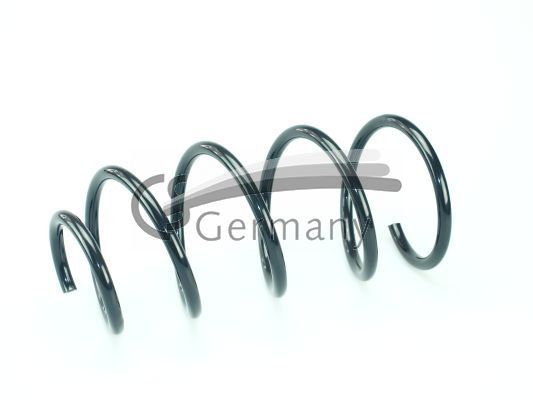 Arc spiral punte fata (14101587 CS) BMW