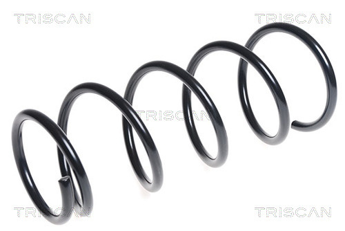 Arc spiral punte fata (87501498 TRI) NISSAN