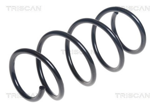 Arc spiral punte fata (875029408 TRI) SKODA,VW