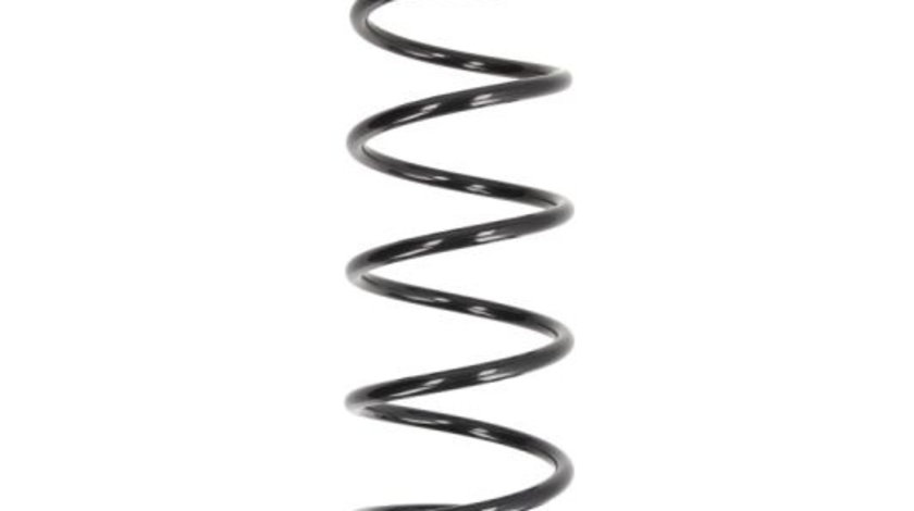 Arc spiral punte fata (SF096MT MAGNUM TECHNOLOGY) FIAT