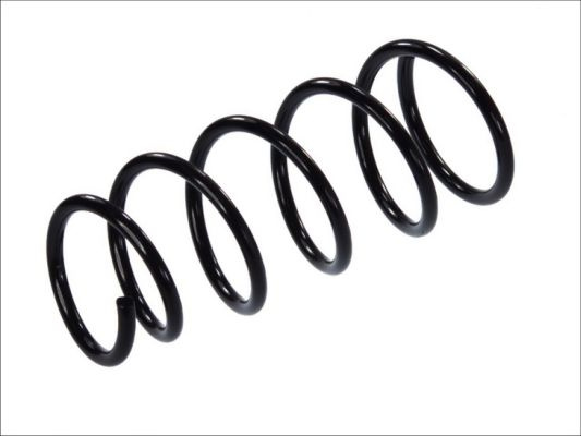 Arc spiral punte fata (SR011MT MAGNUM TECHNOLOGY) RENAULT