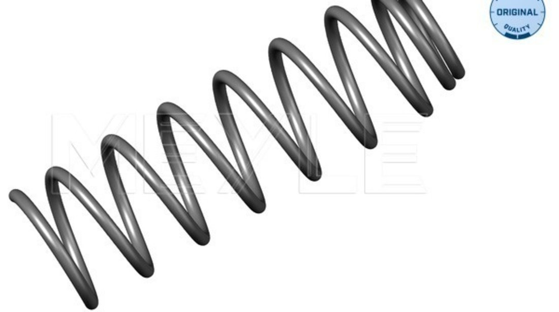 Arc spiral puntea spate (1000510002 MEYLE) VW