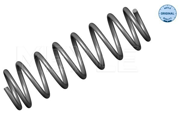 Arc spiral puntea spate (1007390019 MEYLE) VW