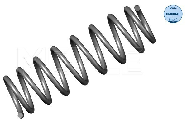 Arc spiral puntea spate (1007390020 MEYLE) VW