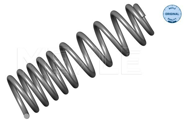 Arc spiral puntea spate (1007390022 MEYLE) VW