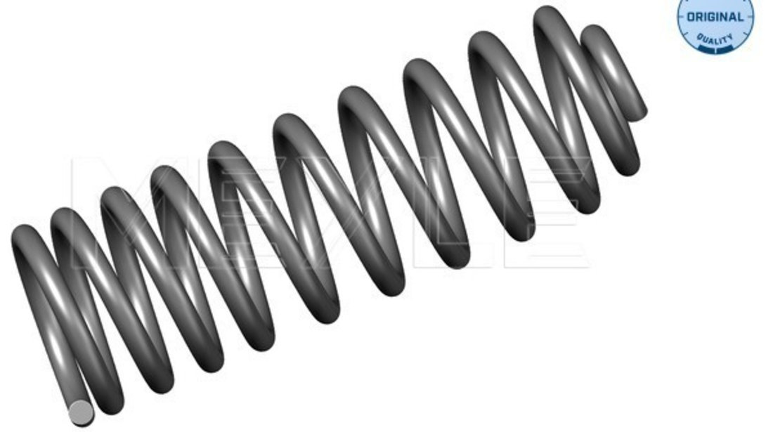 Arc spiral puntea spate (1007390023 MEYLE) VW