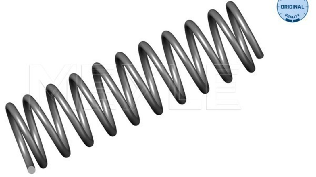 Arc spiral puntea spate (1007390026 MEYLE) VW