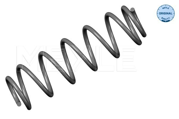Arc spiral puntea spate (1007390049 MEYLE) VW