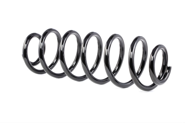 Arc spiral puntea spate (12108716 MTR) SKODA,VW