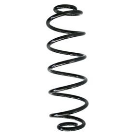 Arc spiral puntea spate (12108724 MTR) AUDI