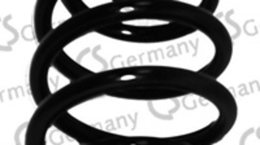 Arc spiral puntea spate (14101610 CS) BMW