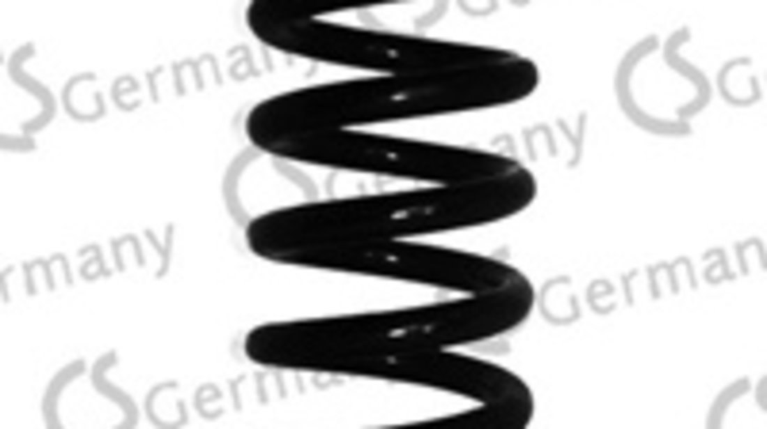 Arc spiral puntea spate (14101650 CS) BMW