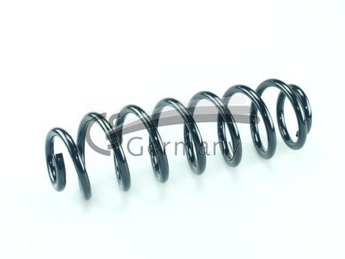 Arc spiral puntea spate (14875132 CS)