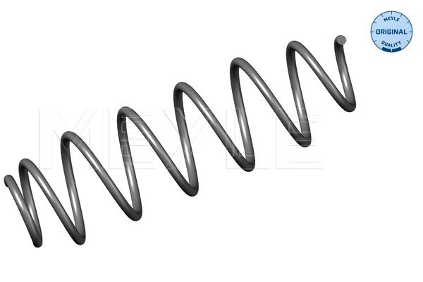 Arc spiral puntea spate (16147390005 MEYLE) RENAULT