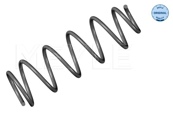 Arc spiral puntea spate (16147390008 MEYLE) RENAULT