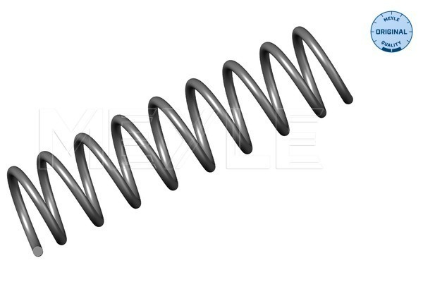 Arc spiral puntea spate (3147390003 MEYLE) BMW
