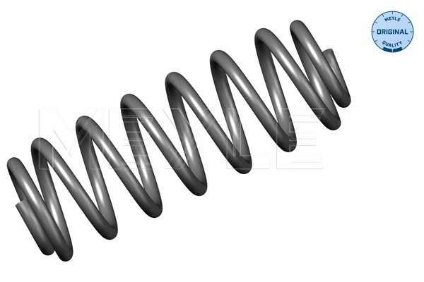 Arc spiral puntea spate (3147390010 MEYLE) BMW