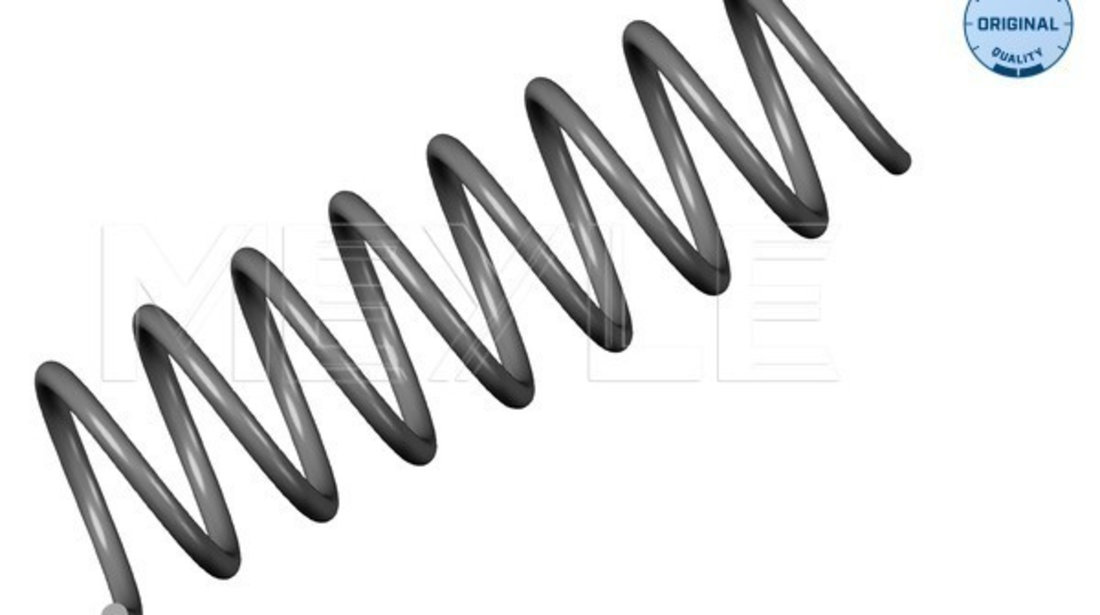 Arc spiral puntea spate (3147390016 MEYLE) BMW