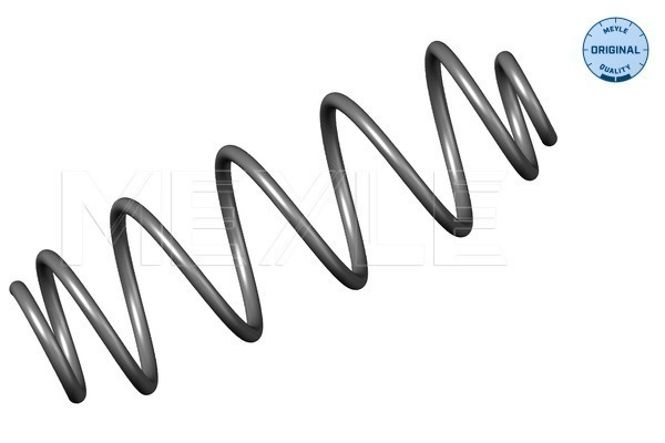 Arc spiral puntea spate (40147390001 MEYLE) Citroen