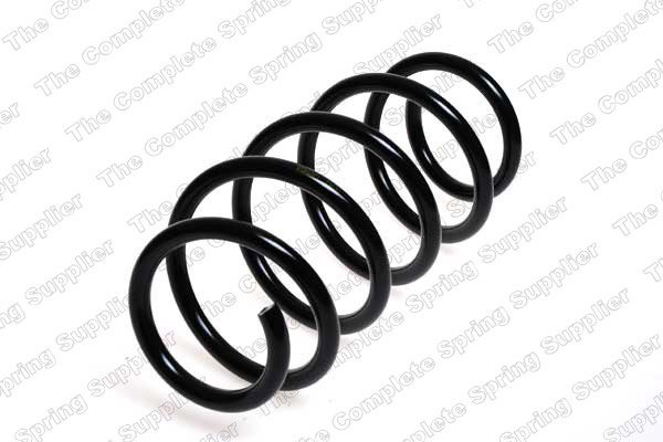Arc spiral puntea spate (4263459 LESJOFORS) OPEL,VAUXHALL