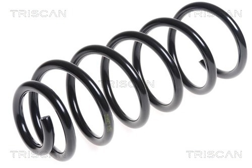 Arc spiral puntea spate (875028199 TRI) PEUGEOT