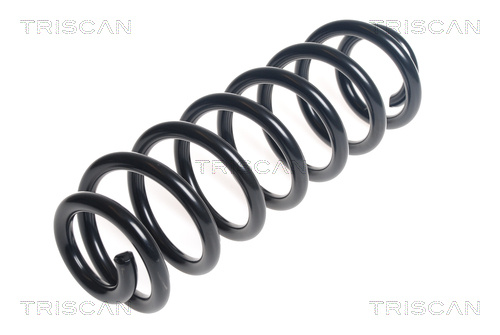 Arc spiral puntea spate (875029391 TRI) VW