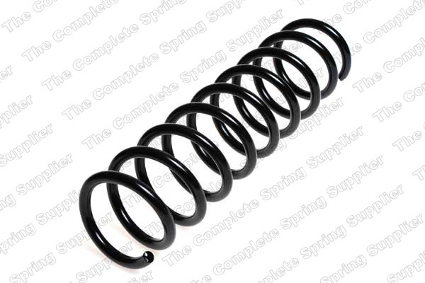 Arc spiral puntea spate (LS4208425 LESJOFORS) BMW