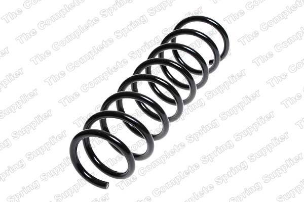Arc spiral puntea spate (LS4208448 LESJOFORS) BMW