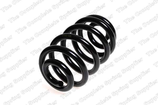 Arc spiral puntea spate (LS4208450 LESJOFORS) BMW