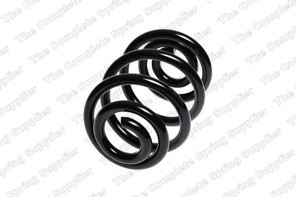 Arc spiral puntea spate (LS4208452 LESJOFORS) BMW