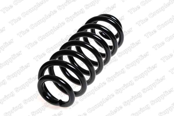 Arc spiral puntea spate (LS4208457 LESJOFORS) BMW