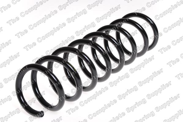Arc spiral puntea spate (LS4208460 LESJOFORS) BMW