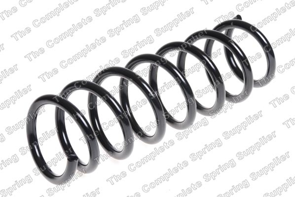 Arc spiral puntea spate (LS4208472 LESJOFORS) BMW