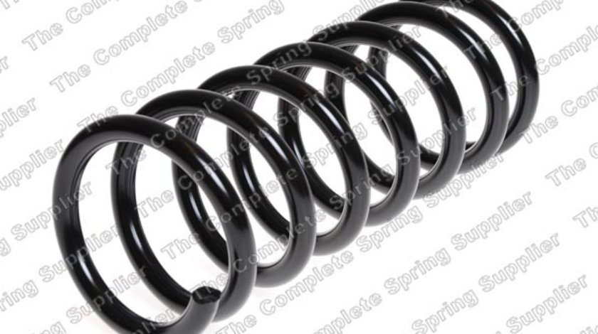 Arc spiral puntea spate (LS4227602 LESJOFORS) FORD