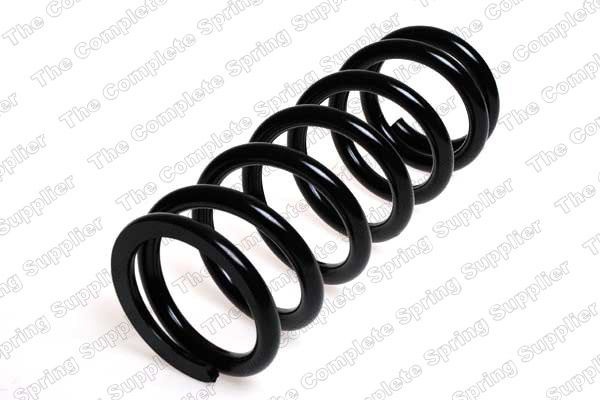 Arc spiral puntea spate (LS4241406 LESJOFORS) JAGUAR