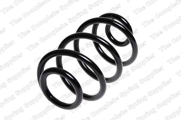Arc spiral puntea spate (LS4262048 LESJOFORS) NISSAN