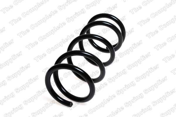 Arc spiral puntea spate (LS4262053 LESJOFORS) NISSAN