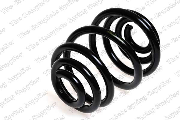 Arc spiral puntea spate (LS4263428 LESJOFORS) OPEL,VAUXHALL